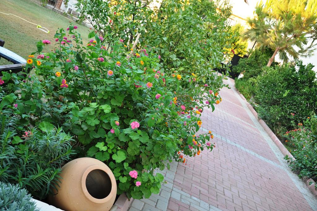 Mursel Garden Hotel クシャダス エクステリア 写真