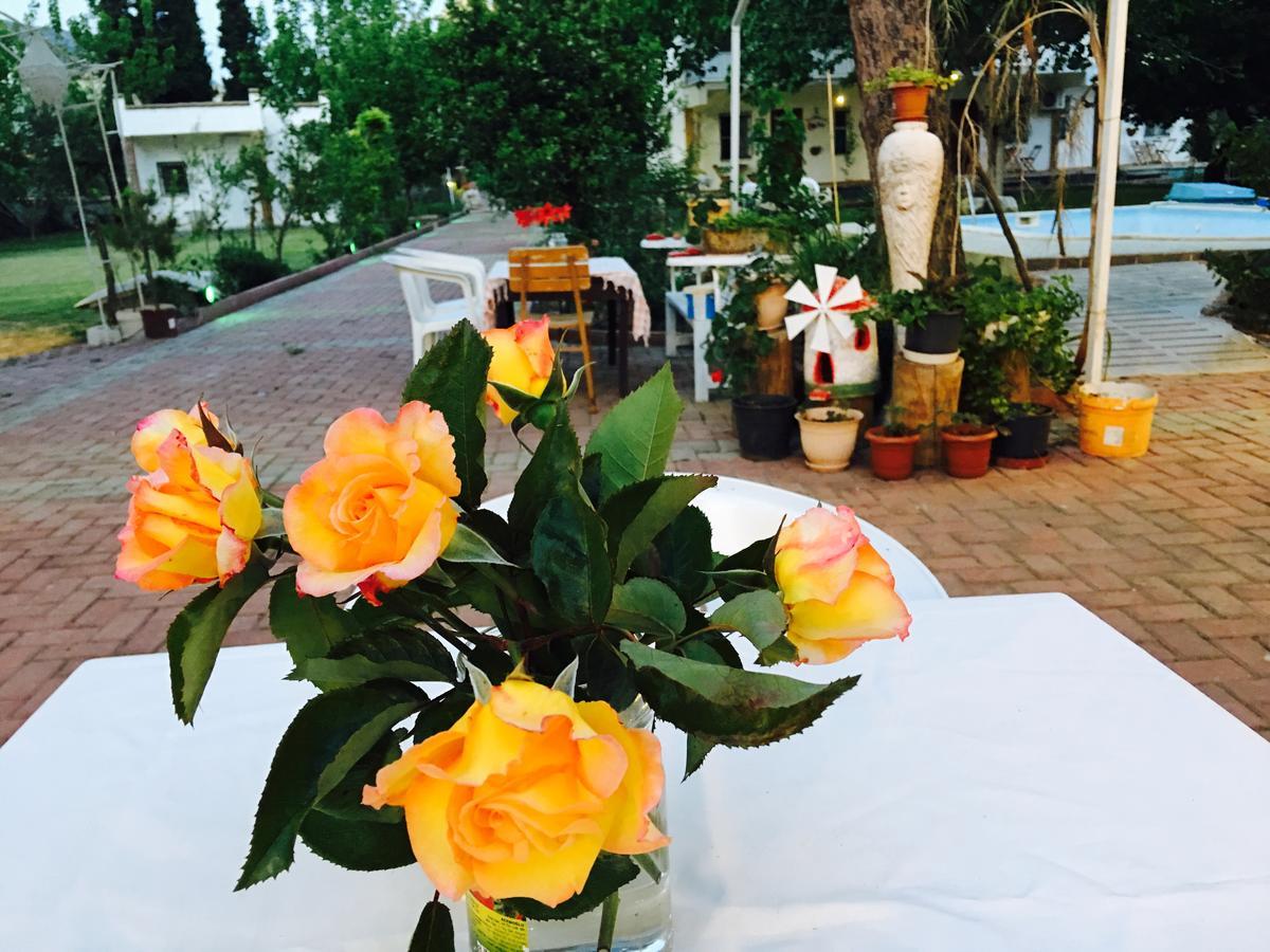 Mursel Garden Hotel クシャダス エクステリア 写真